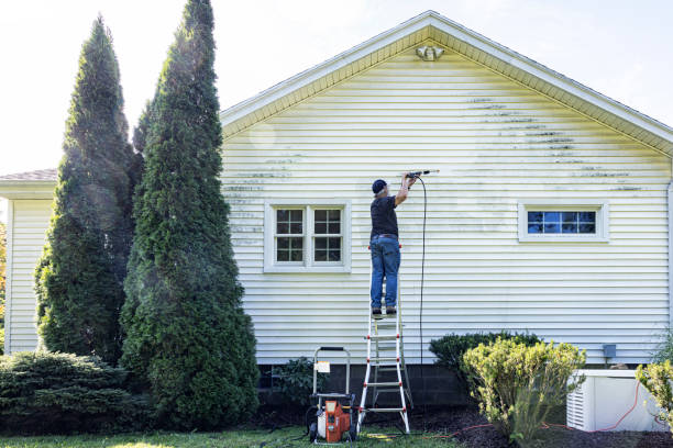 Best Sidewalk and Walkway Cleaning  in Charles City, IA