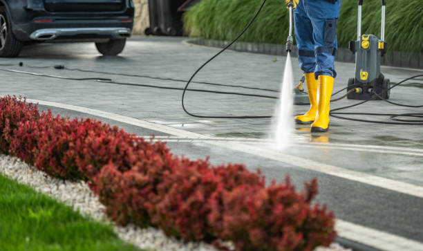 Best Gutter Cleaning  in Charles City, IA